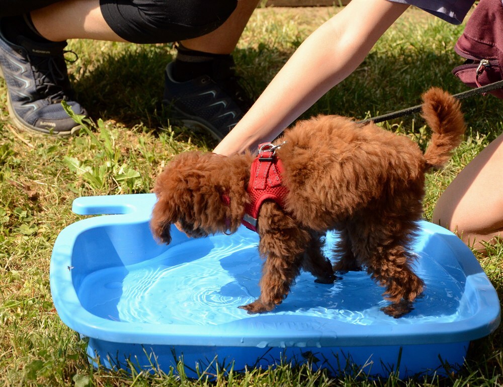 bei schönen Wetter mit "Bädli"